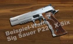 SiSauerP226X6.jpg