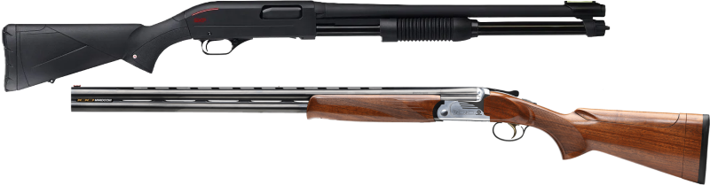 Bild "Disziplinen:LWFliKL.png"